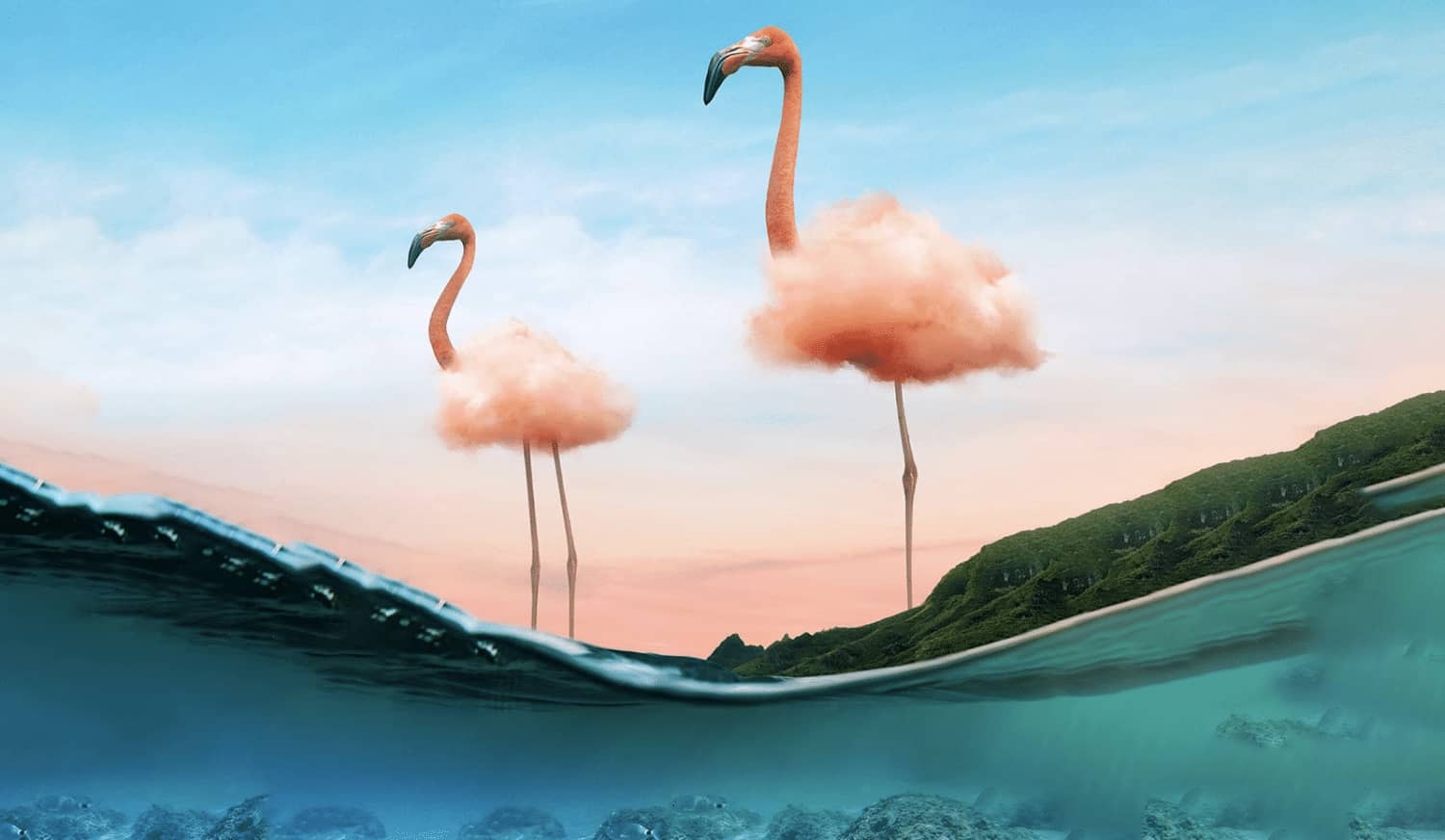 Adobe CC 2021大师版#集成主流Adobe软件#一键安装版#A810-FunShare·趣享