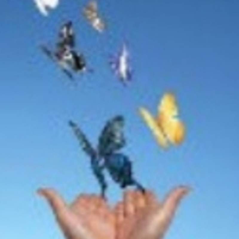 dzg041177-FunShare·趣享