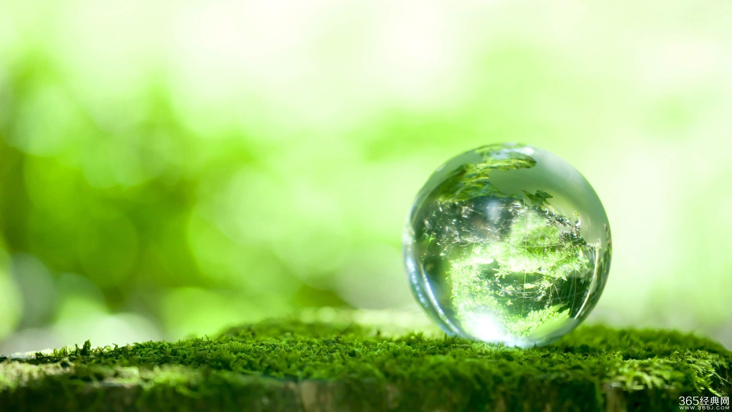 晨曦-FunShare·趣享