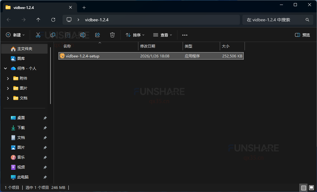 图片[2]-VidBee#支持全球1000+个主流视频平台#B站#YouTube#TikTok#A903-FunShare·趣享